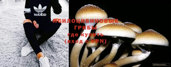индика Абдулино