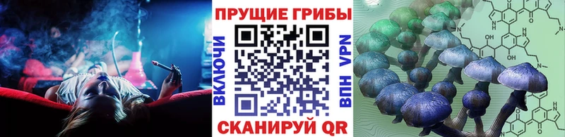 Псилоцибиновые грибы Cubensis  Сертолово 
