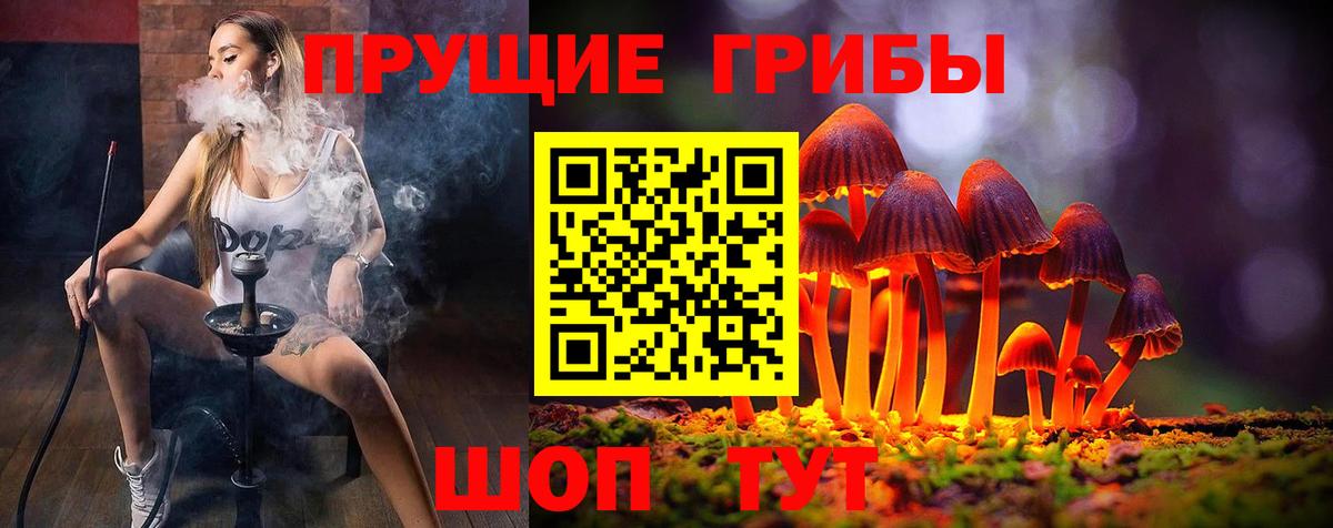 Псилоцибиновые грибы Psilocybine cubensis Сертолово