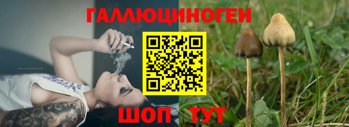 Сертолово  Псилоцибиновые грибы мицелий  где можно купить наркотик  Вход с VPN 